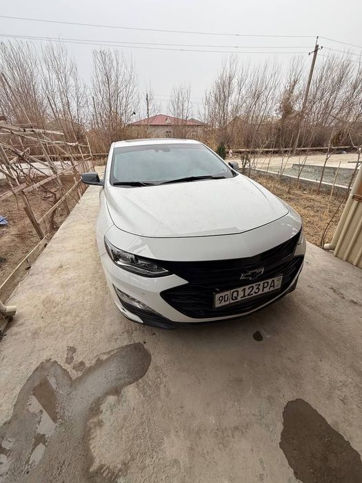 Malibu sotiladi 2023