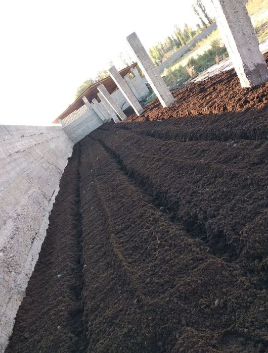 BIOGUMUS (BIOGUMIS) tabiy o'g'it