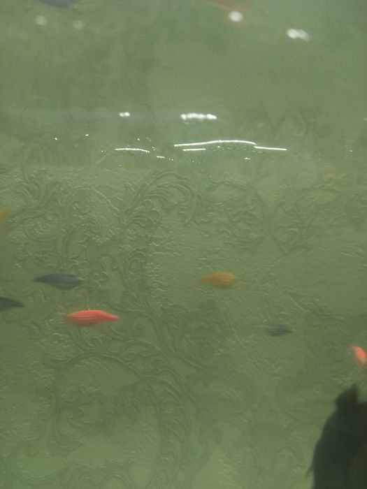 А 31 с гарантией