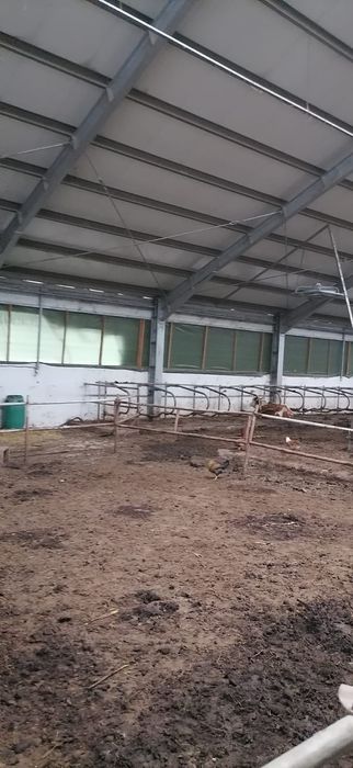 Inchiriez sau vand hala metalica