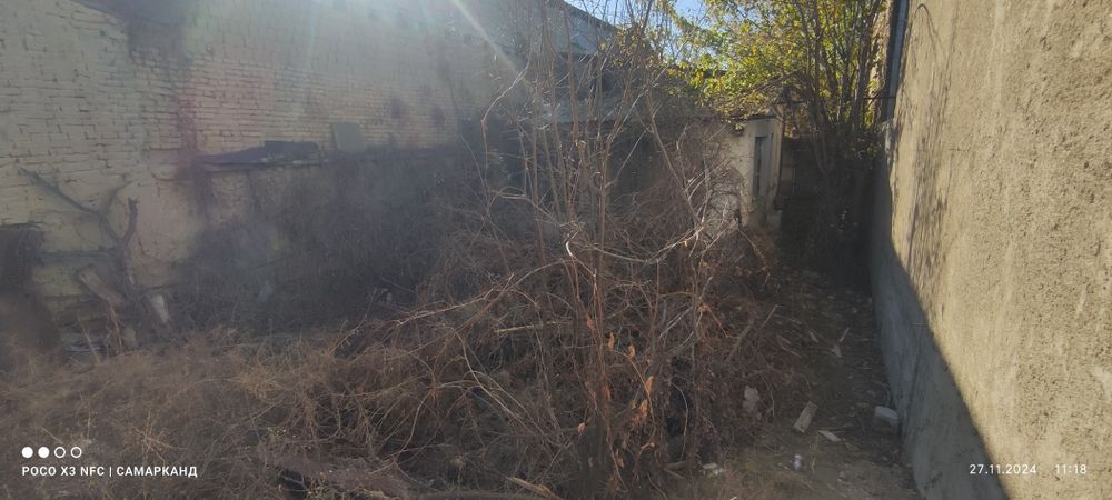 утин,дрова фруктовые ,дарахт, дераза