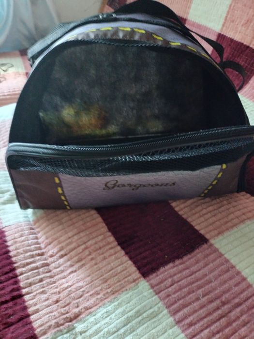 Переноска для собачки