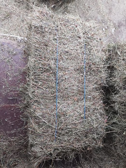 Baloți fân verde și mărunt