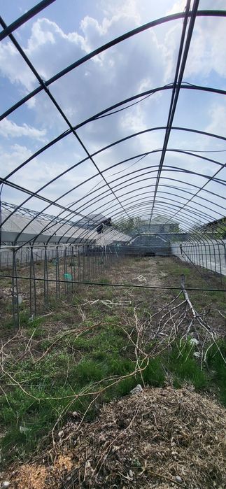 Теплица 3 соток оцинкованный метталл