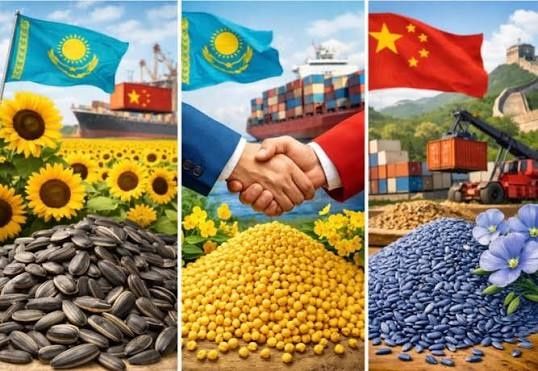 ТОО с реестром в Китай. Сельскохозяйственные товары.
