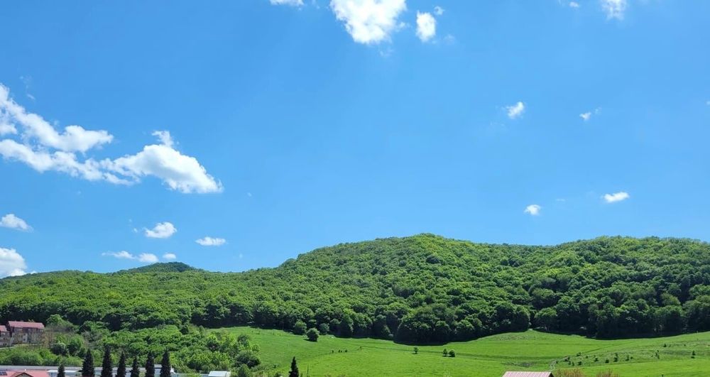 Persoana fizica dau în chirie apartament foresti 2 camere ( inchise) plus bucătărie. Disponibil de la 1 Mai