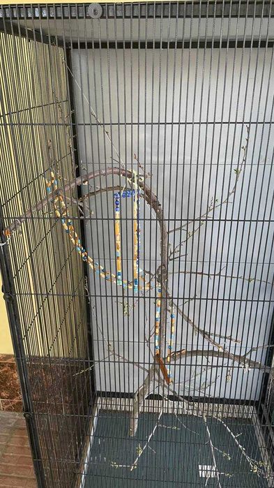 клетка для птиць