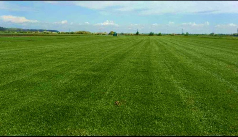 Amenajari gradini calitate superioass