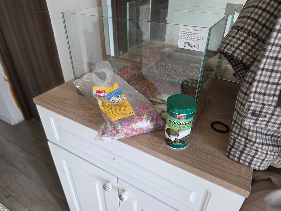 Vănd broasca țestoasă mică de acvariu.