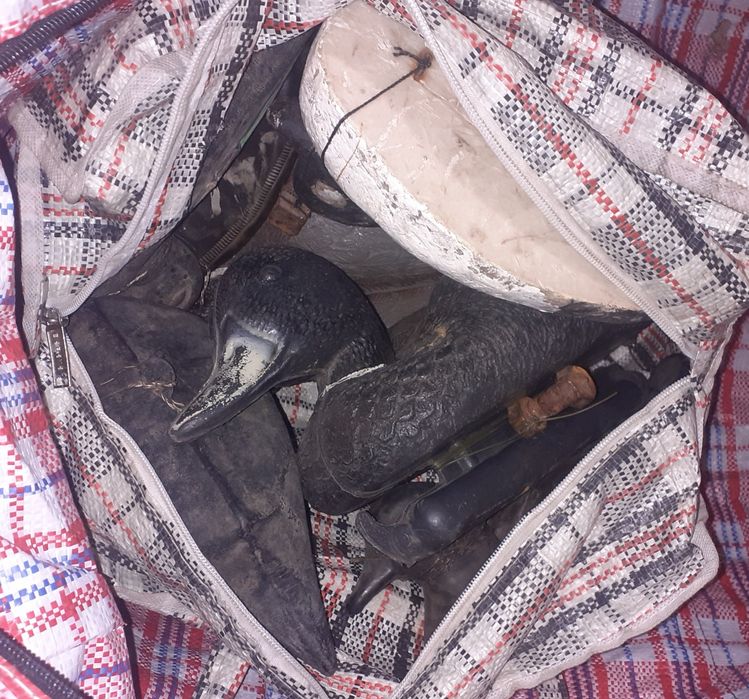 Продам чучела уток