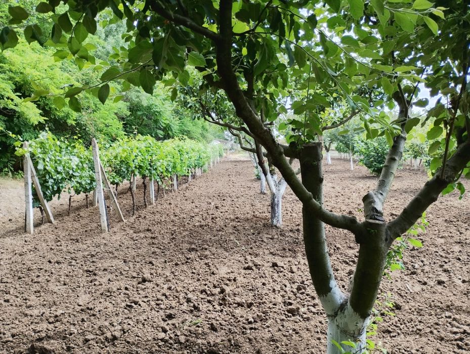 Продава се Етаж от къща в с. Даскал-Атанасово, Област Стара Загора - 62 кв.м за 247 €/кв.м - Снимка #8