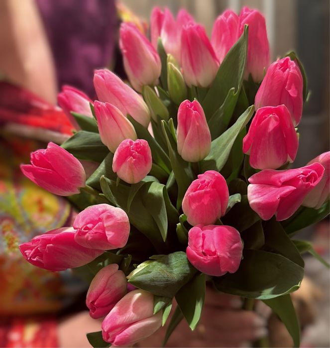 Тюльпаны премиум класса к 8 марта