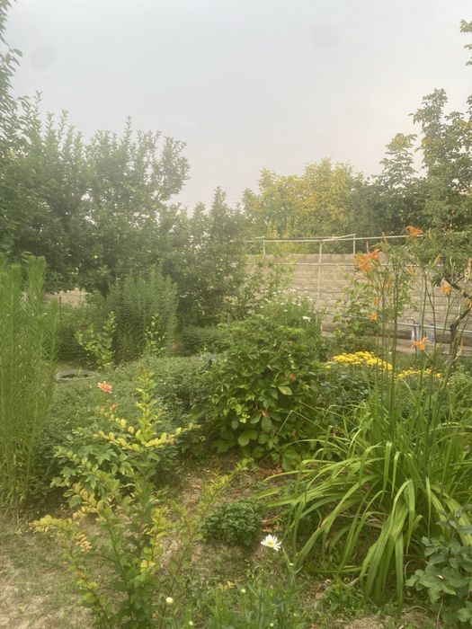 Продается дача. Новбахор