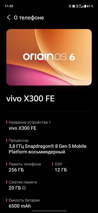 Vivo x300fe 12/256
