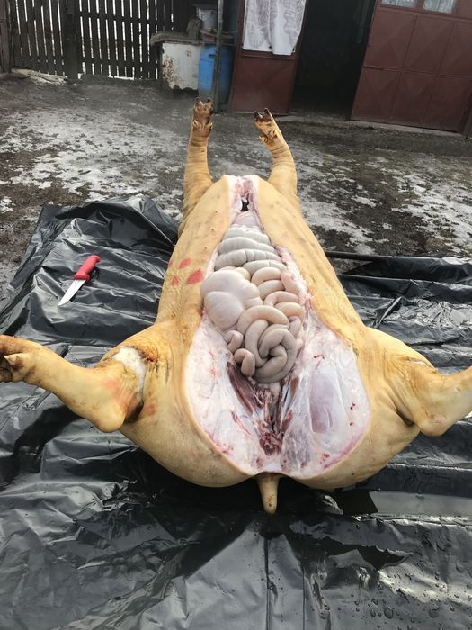 Macelar la domiciliu