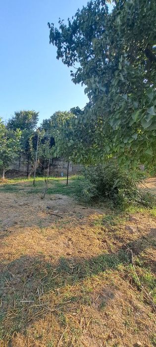 Дача Навбахор 6-соток земля для строительства Паркент Янгибазар