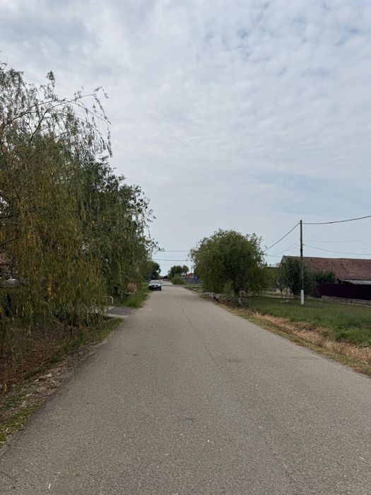 Teren intravilan 1500 mp Nitchidorf , judetul Tmis toate utlitatile