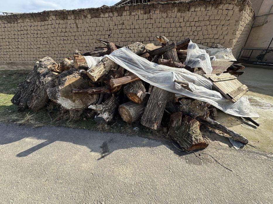 Утин сотилади! 100