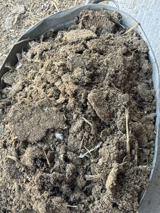 Бесплатно куриный навоз