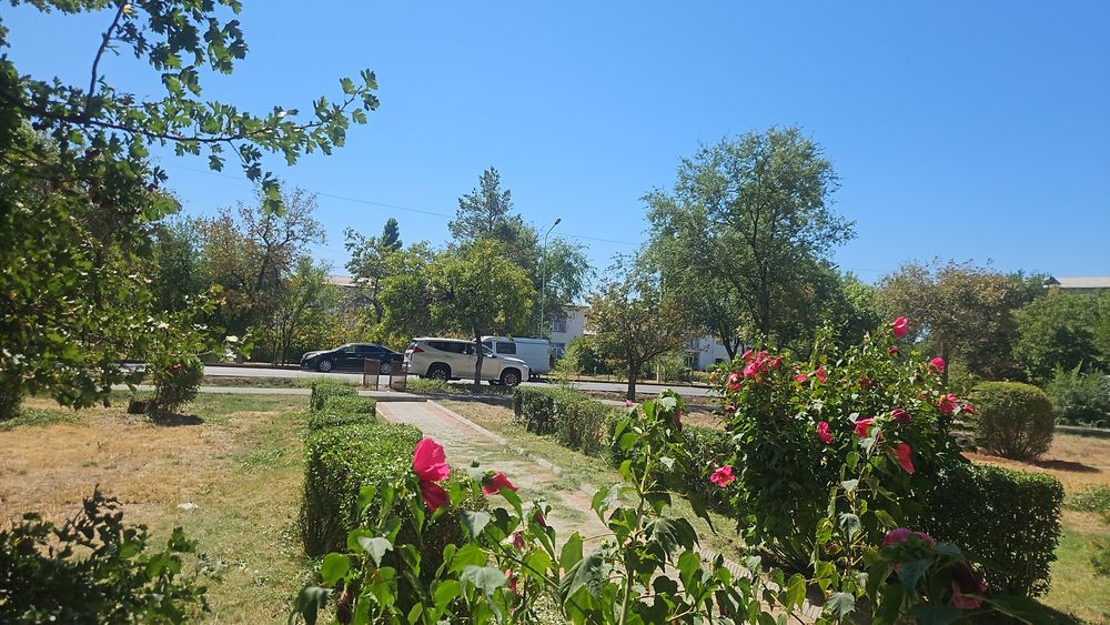 Стрижка ,кронирование изгороди,обрезка