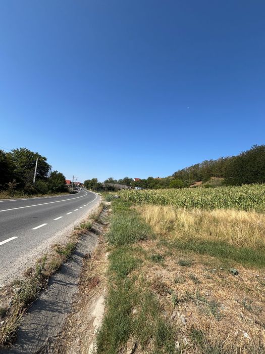Teren Betfia și Hidiselu de Sus