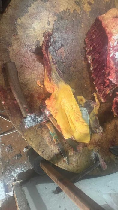 Продам мясо конины