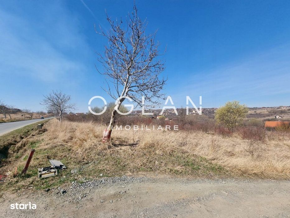 Oportunitate! Teren 8000 mp,parcelat ,cu PUZ ,Daia Noua, acces Dj 106