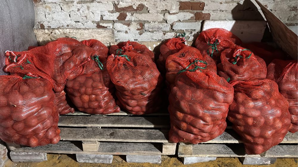 Продам картофель домашний