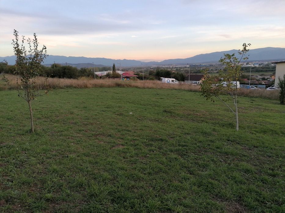 Teren construcţii strada Măceşului