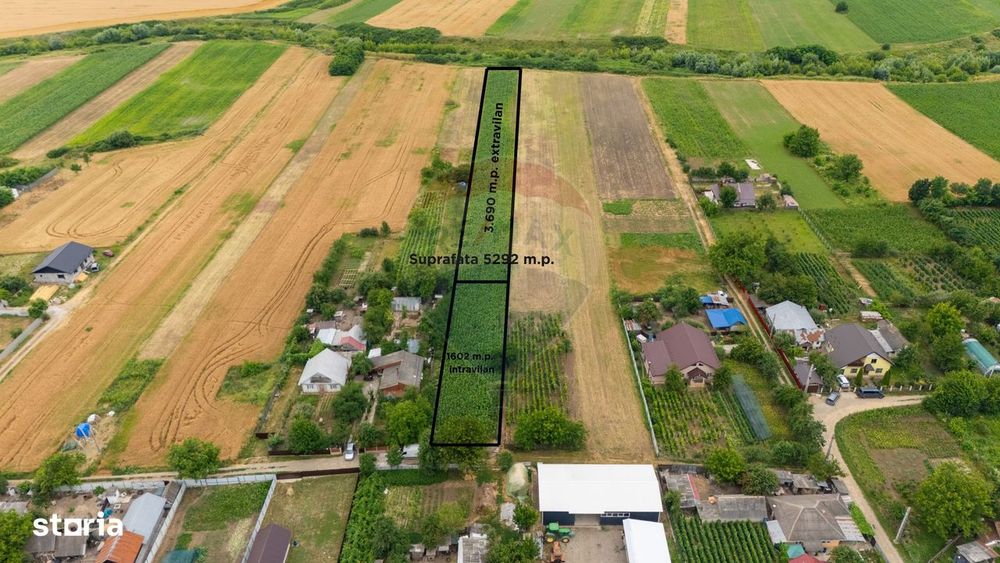 Teren generos de 5.292 m.p. in Silistea (Todiresti,Vaslui)
