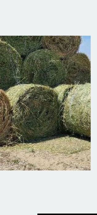 Vand  baloți lucernă