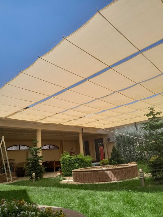 Сояа сетка гаряанта