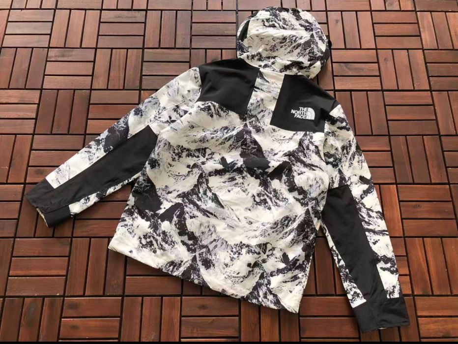 Geaca  schi The North Face