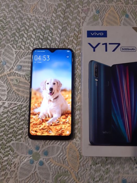 VIVOi Y 17  4/64 гб