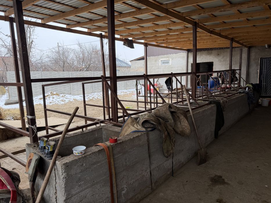 Продам дом с откормом для скота