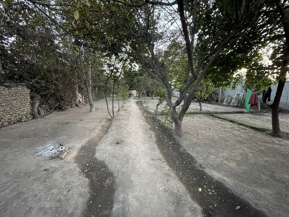 10 сотихли дача 2 хона уйи билан кадастрга улчаб кетишди