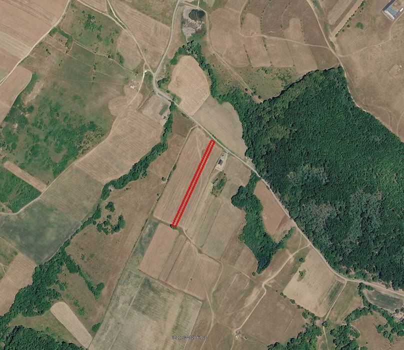 Vand teren extravilan in Ortelec (Satu Batran)