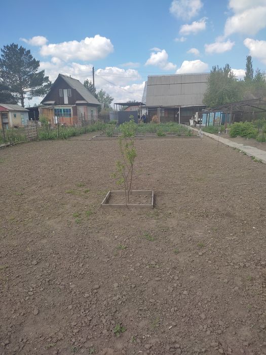 Продам дачу Колос 6 соток