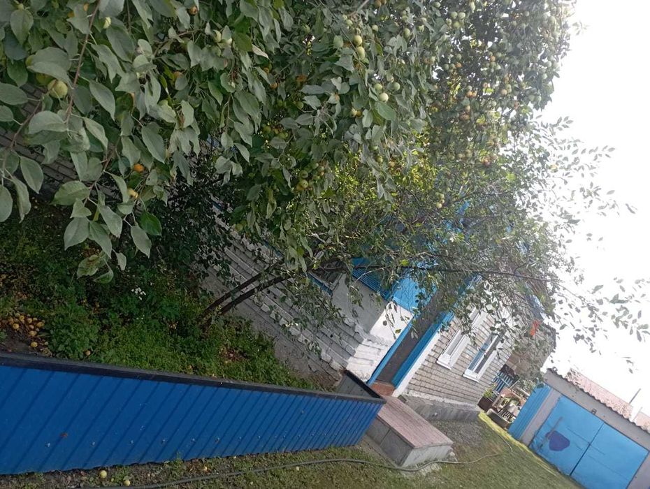 продам квартиру  в Боровском