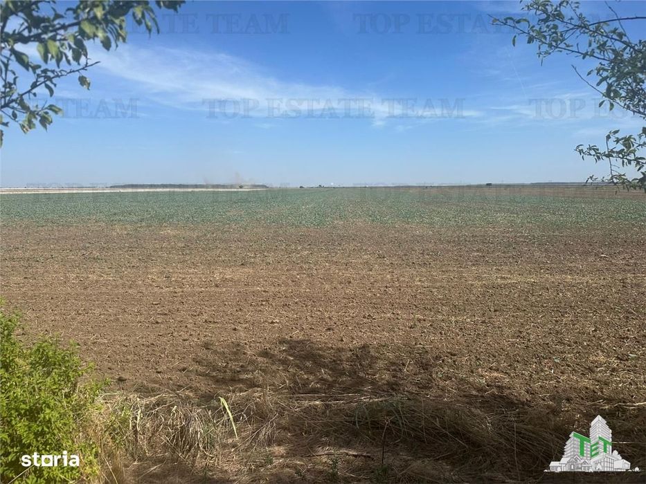 Vanzare teren intravilan construibil, Branesti-Ilfov, 5000 mp, ideal r