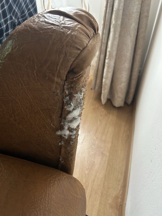 Canapea piele naturala extensibila