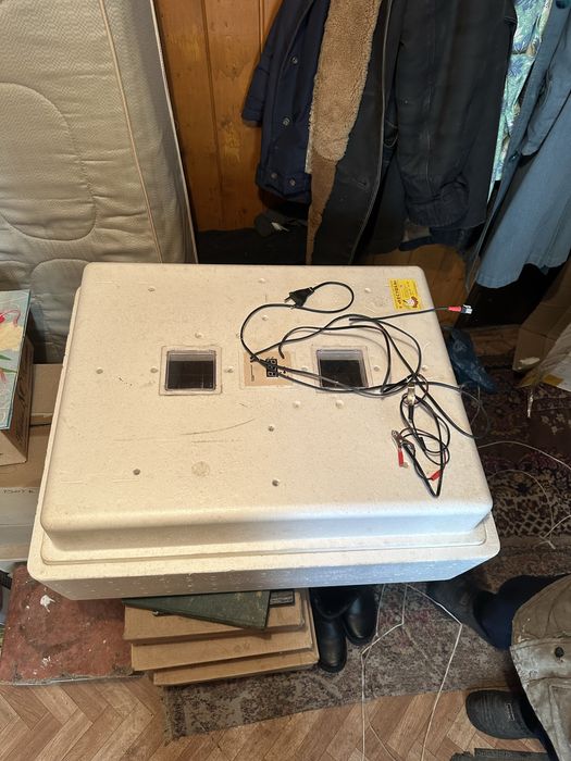 Инкубатор ,Несушка’ на 104 месту