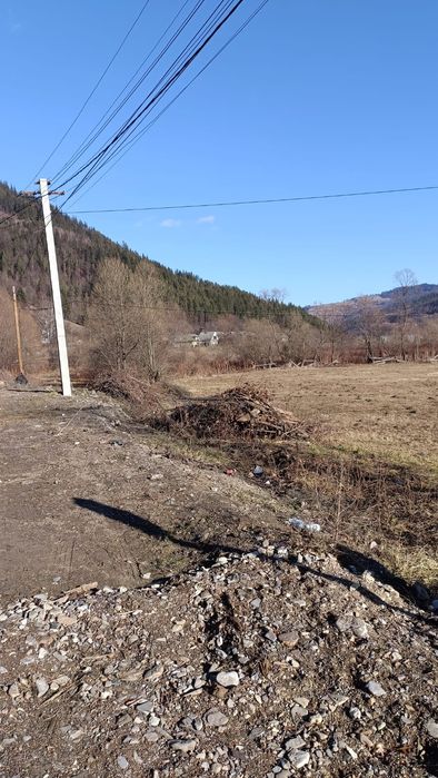 Teren sat Bradu com.Grinties Jud. Neamt