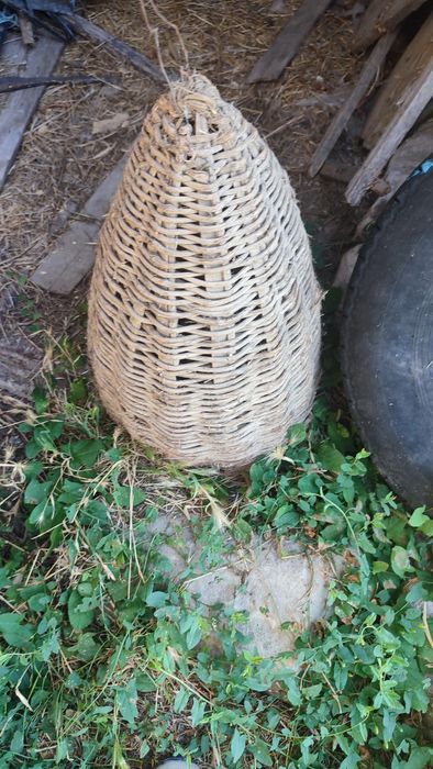 Домашни стари потреби