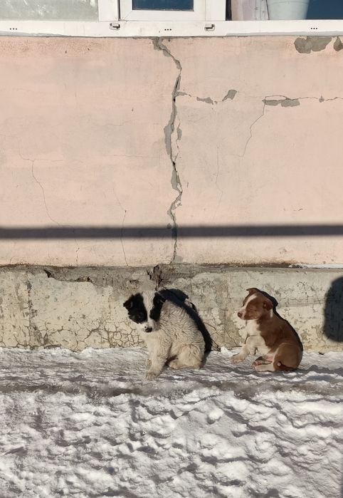 СРОЧНО!!! Срочно!