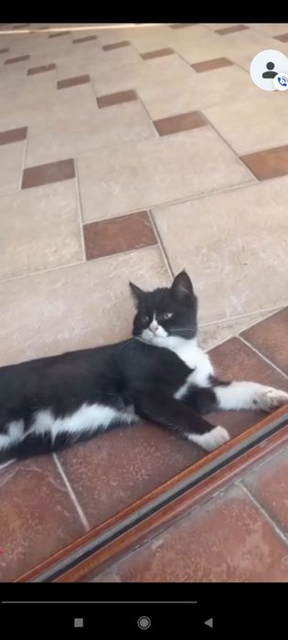 Малышка ждет свою семью!