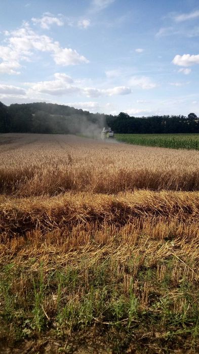 Baloți de paie 2026