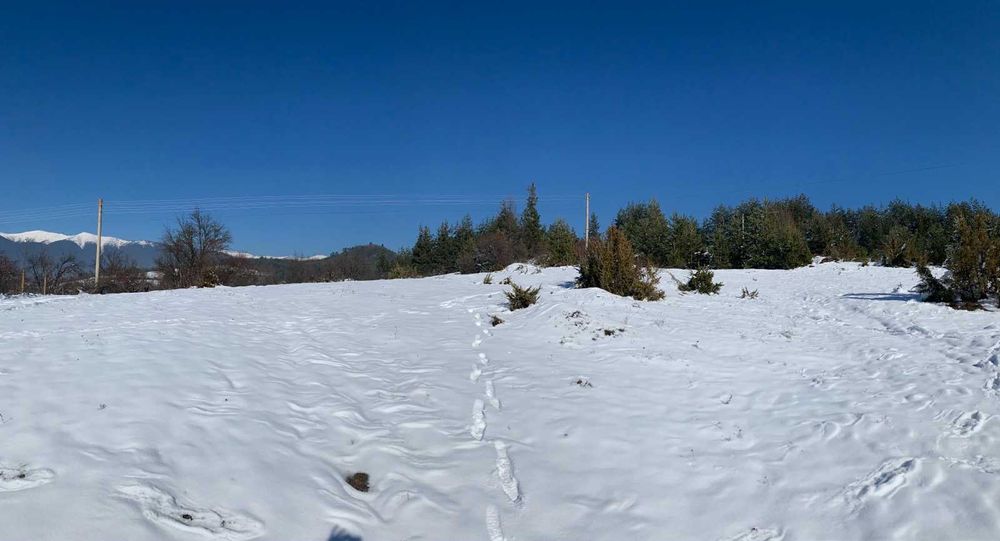 Продава се Парцел в с. Долно Драглище, Област Благоевград - 2146 кв.м за 18 €/кв.м - Снимка #3