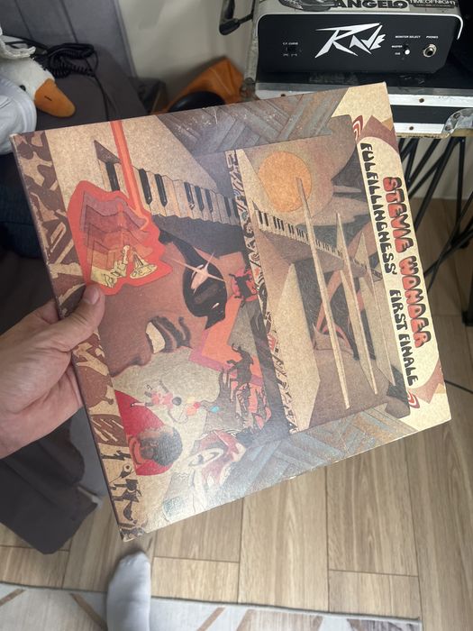 Виниловые пластинка