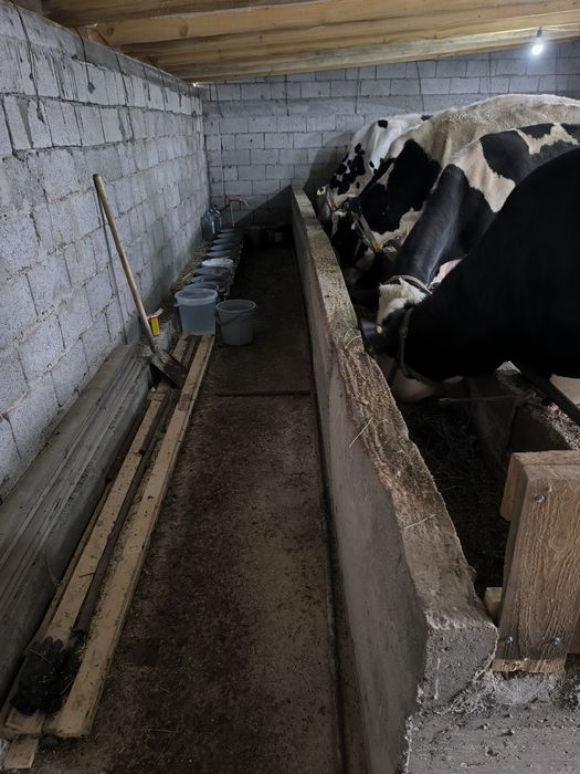 Срочно продается Дача фазенда